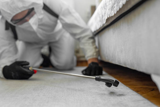Professional Bed Bug Control technician working in Fort Thompson, SD