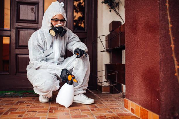 Reliable Bed Bug Control contractor in Fort Thompson, SD by Nex Pest Control