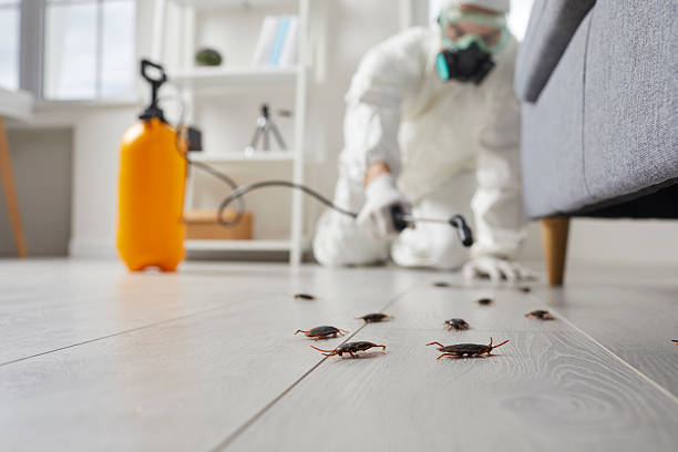 Trusted Rodent Control service in Fort Thompson, SD - Nex Pest Control